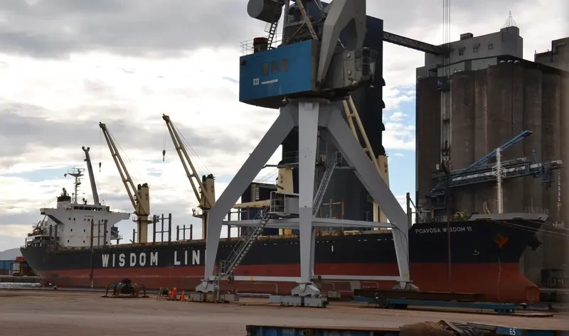 POAVOSA WISDOM VI Bulk Carrier IMO 9589724 photo 2