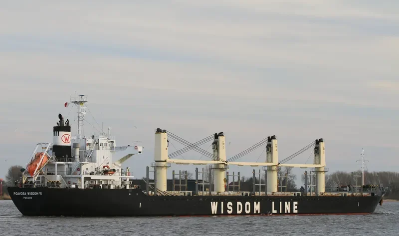 POAVOSA WISDOM VI Bulk Carrier IMO 9589724 photo 8
