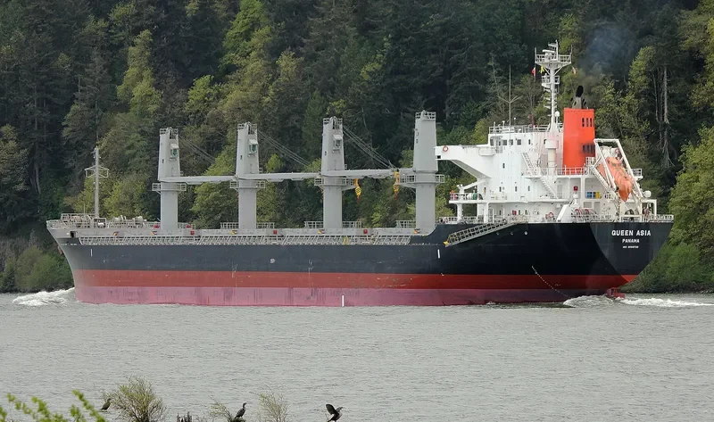 QUEEN HARMONY Bulk Carrier IMO 9589736 photo 4