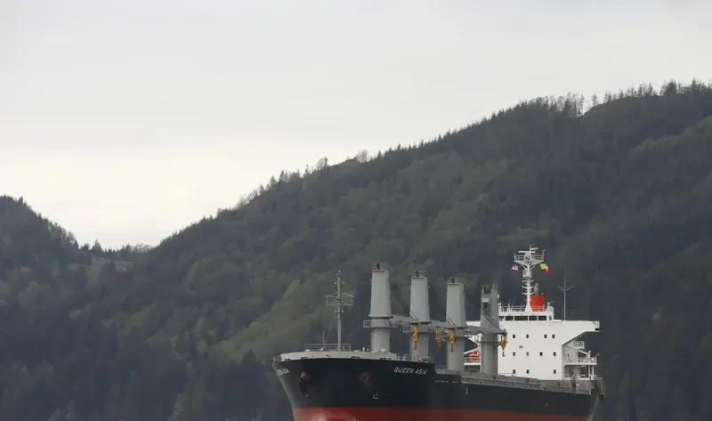 QUEEN HARMONY Bulk Carrier IMO 9589736 photo 6