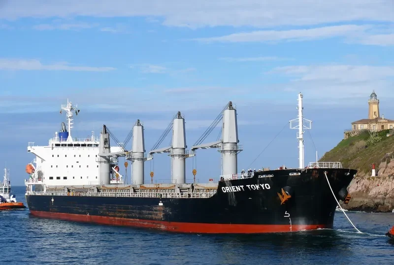 SCHELDE CONFIDENCE Bulk Carrier IMO 9589762 photo 2