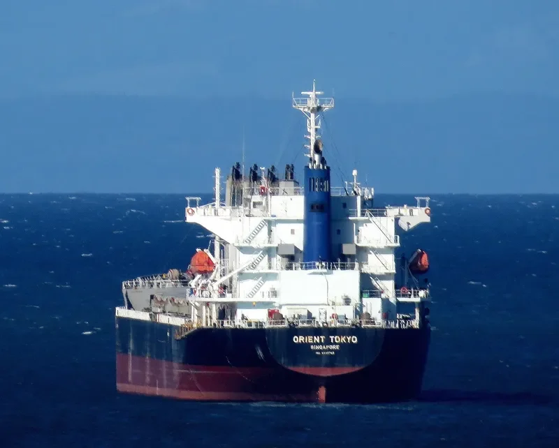 SCHELDE CONFIDENCE Bulk Carrier IMO 9589762 photo 4