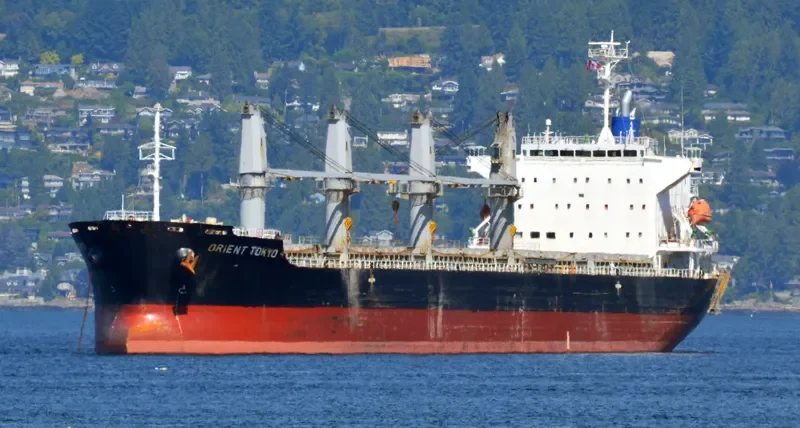 SCHELDE CONFIDENCE Bulk Carrier IMO 9589762 photo 7
