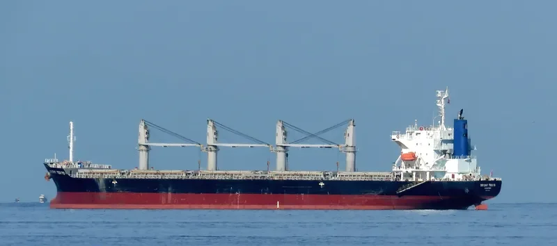 SCHELDE CONFIDENCE Bulk Carrier IMO 9589762 photo 8