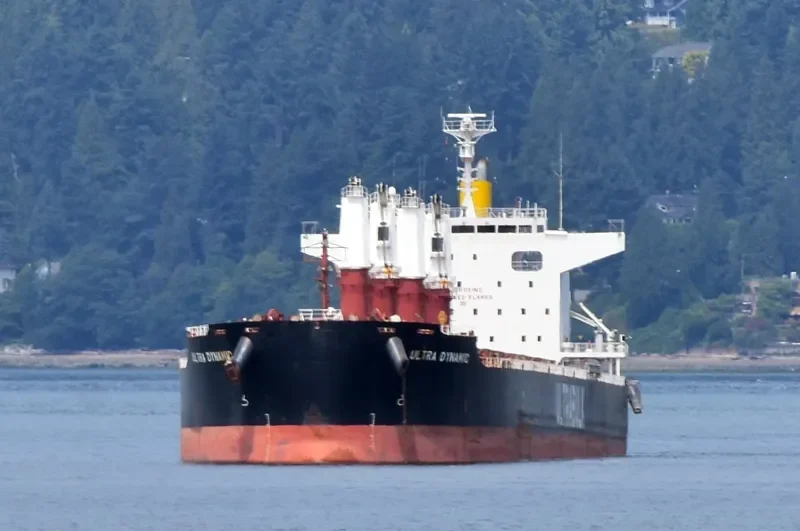 ULTRA DYNAMIC Bulk Carrier IMO 9589798 photo 2