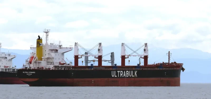 ULTRA DYNAMIC Bulk Carrier IMO 9589798 photo 6