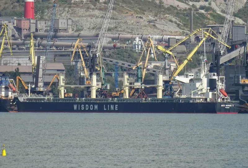 AMIS WISDOM VI Bulk Carrier IMO 9589803