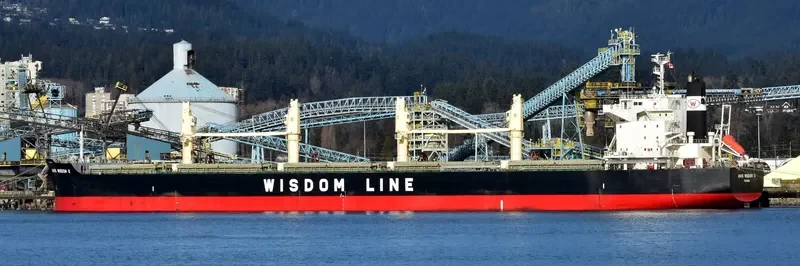 AMIS WISDOM VI Bulk Carrier IMO 9589803 photo 4