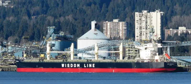 AMIS WISDOM VI Bulk Carrier IMO 9589803 photo 5