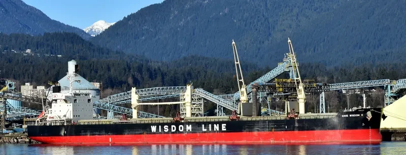 AMIS WISDOM VI Bulk Carrier IMO 9589803 photo 6