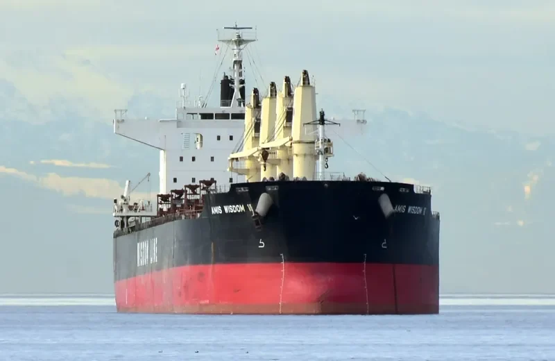 AMIS WISDOM VI Bulk Carrier IMO 9589803 photo 8
