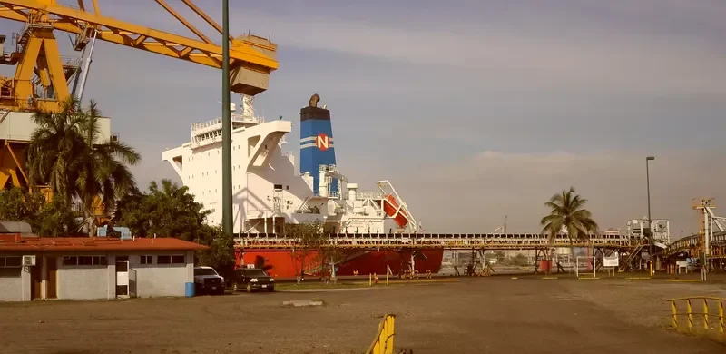NAVIOS AZIMUTH Bulk Carrier IMO 9589839 photo 9