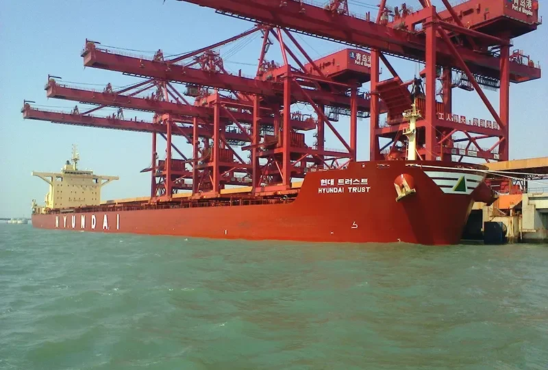 THEODOROS P Bulk Carrier IMO 9589970
