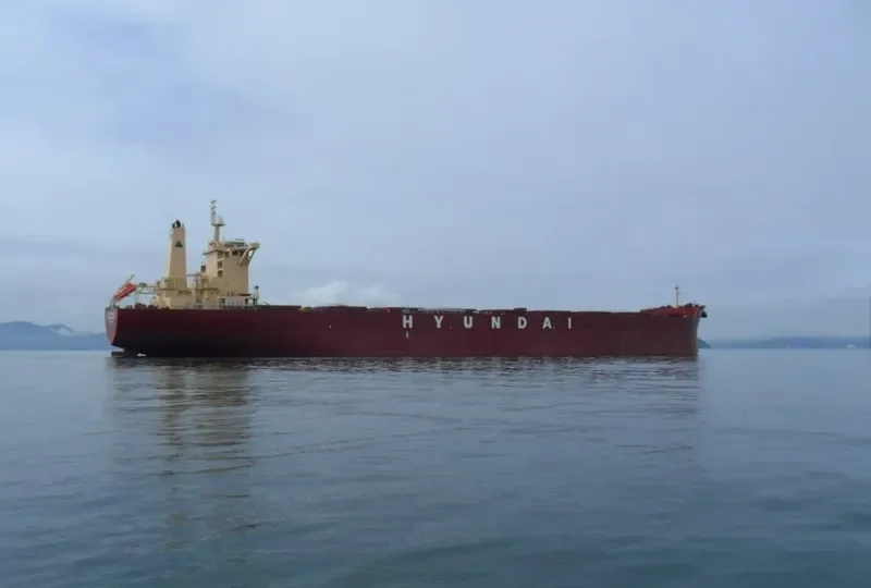 THEODOROS P Bulk Carrier IMO 9589970 photo 2