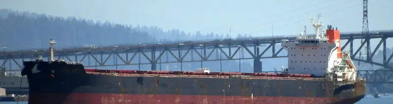 HL IBT Bulk Carrier IMO 9590034 photo 2
