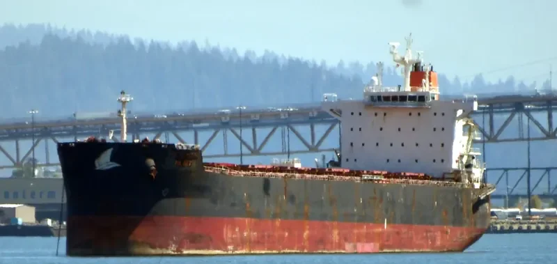 HL IBT Bulk Carrier IMO 9590034 photo 3