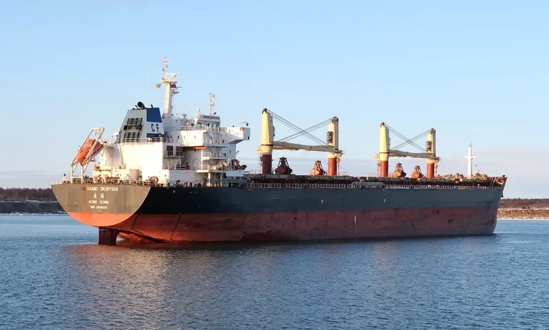 GRAND DIONYSUS Bulk Carrier IMO 9590228 photo 4
