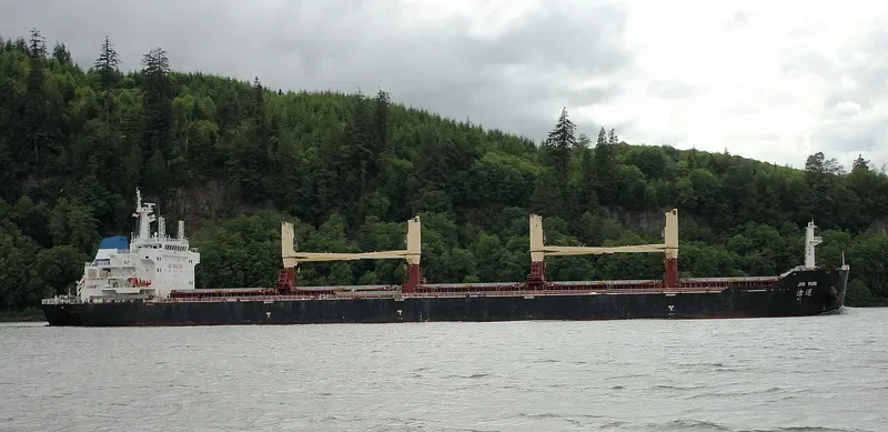 JIN YUN Bulk Carrier IMO 9590230 photo 3