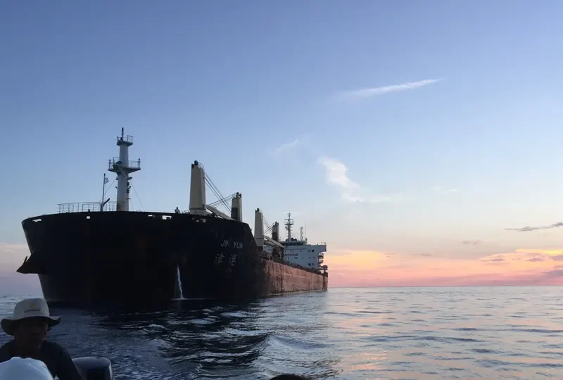 JIN YUN Bulk Carrier IMO 9590230 photo 8