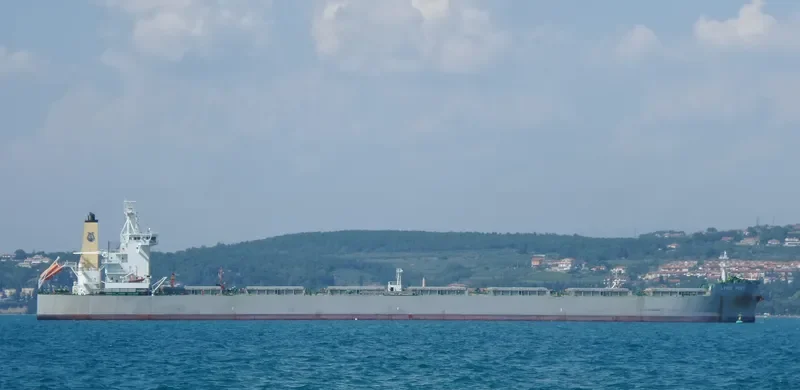 LYRIC POET Bulk Carrier IMO 9590577 photo 3