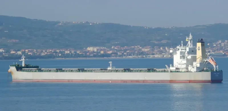 LYRIC POET Bulk Carrier IMO 9590577 photo 5