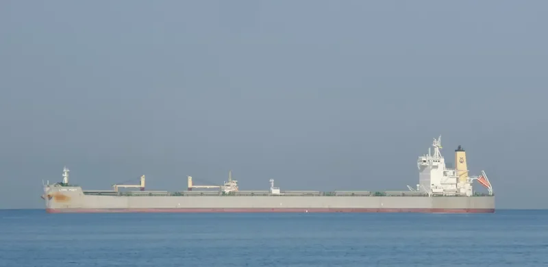 LYRIC POET Bulk Carrier IMO 9590577 photo 6