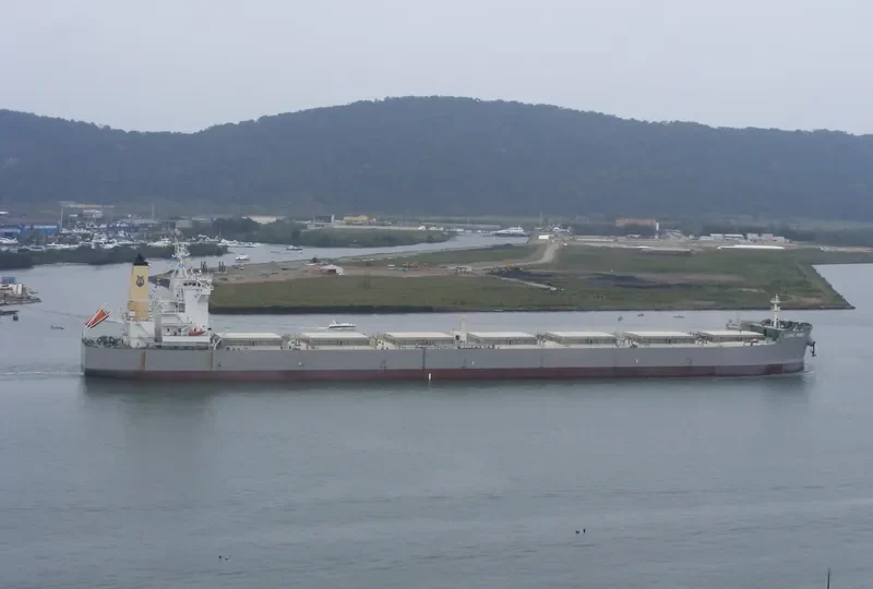 LYRIC POET Bulk Carrier IMO 9590577 photo 9