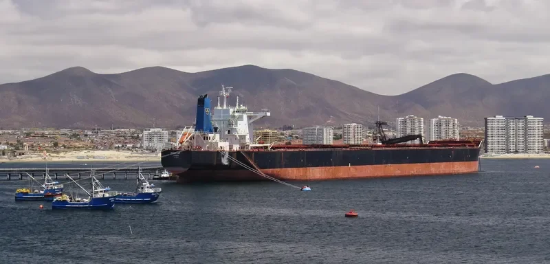 PHAR LAP Bulk Carrier IMO 9590694