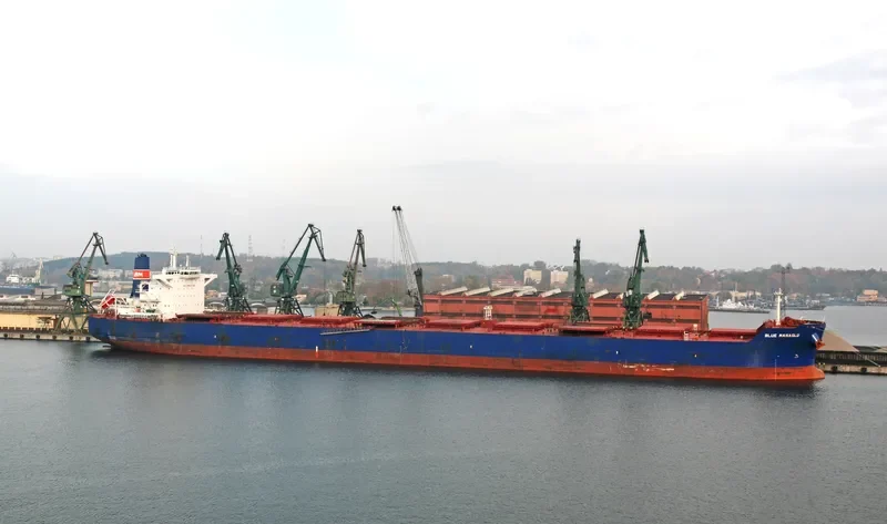 ALPHA LIBERTY Bulk Carrier IMO 9590709 photo 3