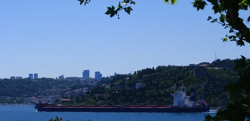 ALPHA LIBERTY Bulk Carrier IMO 9590709 photo 4