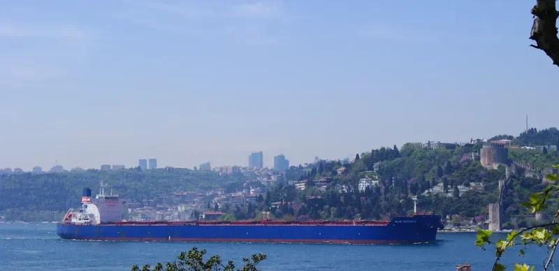 ALPHA LIBERTY Bulk Carrier IMO 9590709 photo 5