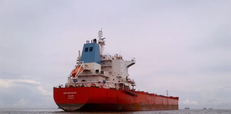 GOLDEN ROSE Bulk Carrier IMO 9590747 photo 2
