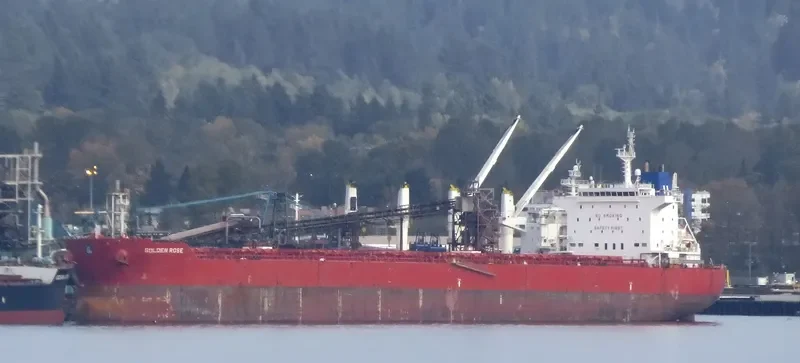 GOLDEN ROSE Bulk Carrier IMO 9590747 photo 8