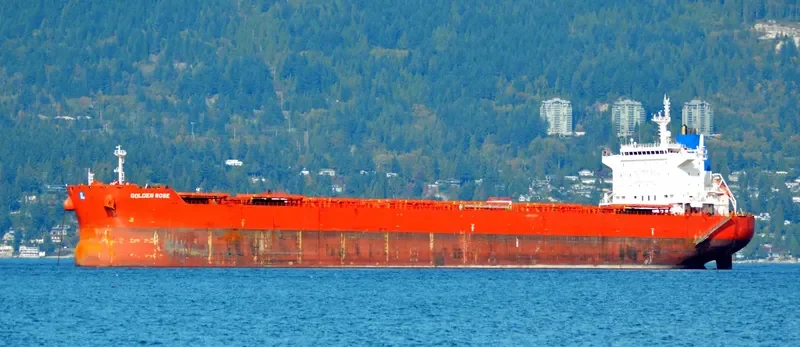 GOLDEN ROSE Bulk Carrier IMO 9590747 photo 10