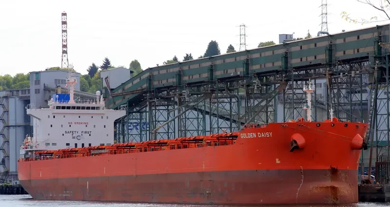 GOLDEN DAISY Bulk Carrier IMO 9590759 photo 6