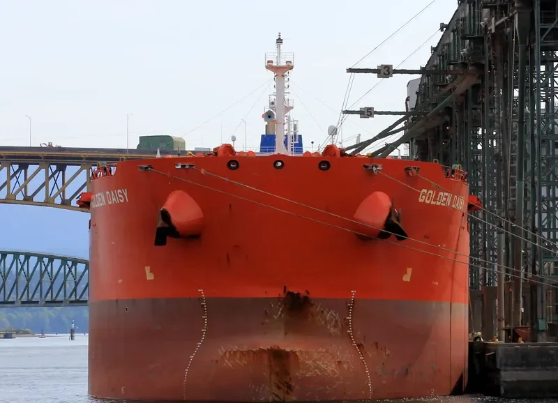 GOLDEN DAISY Bulk Carrier IMO 9590759 photo 8