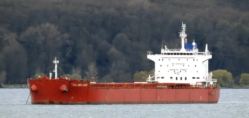 GOLDEN DAISY Bulk Carrier IMO 9590759 photo 9