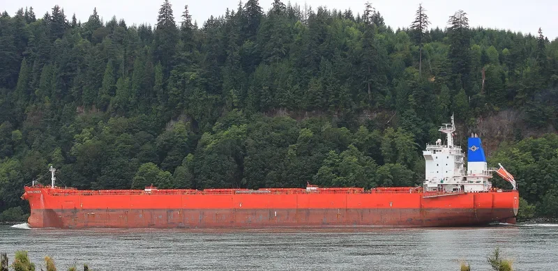 GOLDEN GINGER Bulk Carrier IMO 9590761 photo 2