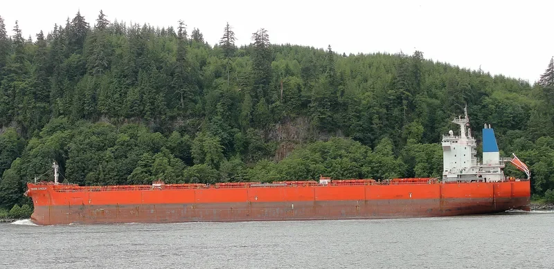 GOLDEN GINGER Bulk Carrier IMO 9590761 photo 4
