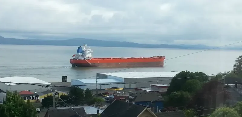 GOLDEN GINGER Bulk Carrier IMO 9590761 photo 6