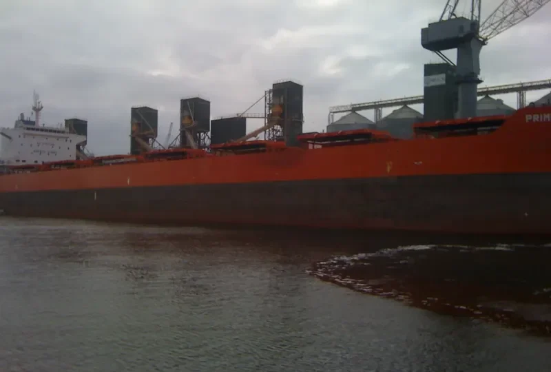GOLDEN GINGER Bulk Carrier IMO 9590761 photo 8