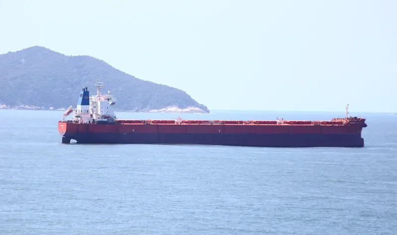 GOLDEN GINGER Bulk Carrier IMO 9590761 photo 10