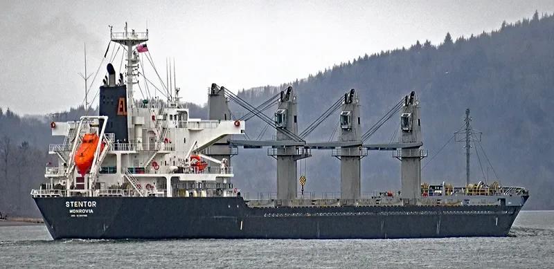 STENTOR Bulk Carrier IMO 9590785 photo 6