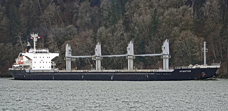 STENTOR Bulk Carrier IMO 9590785 photo 9