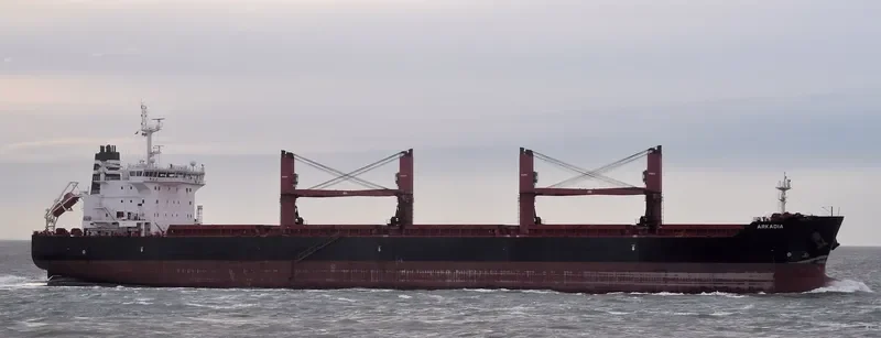 ARKADIA Bulk Carrier IMO 9590797 photo 2