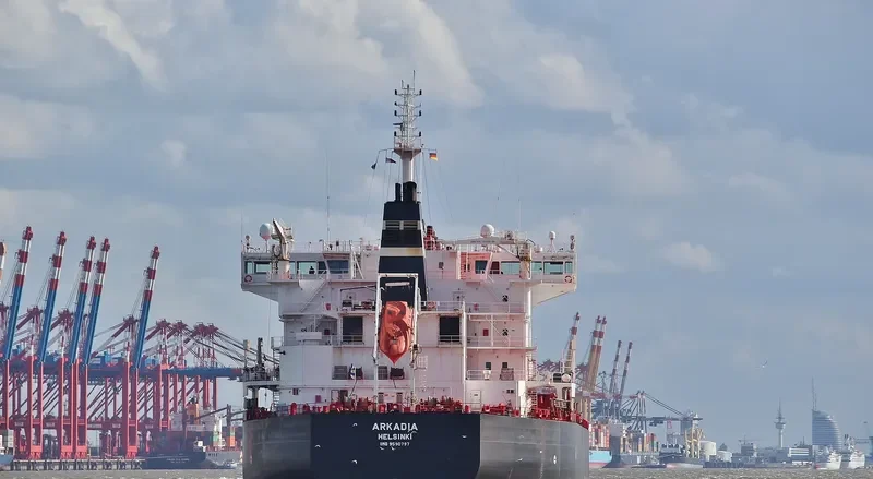ARKADIA Bulk Carrier IMO 9590797 photo 8