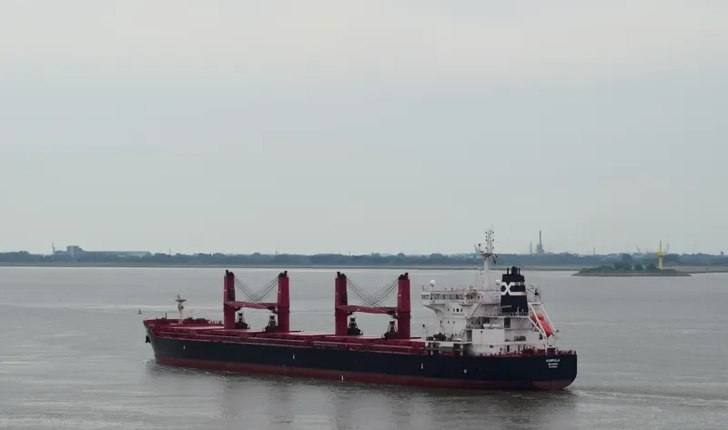 KUMPULA Bulk Carrier IMO 9590802 photo 3