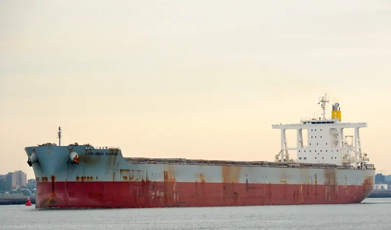 LOWLANDS SUNRISE Bulk Carrier IMO 9590826 photo 4