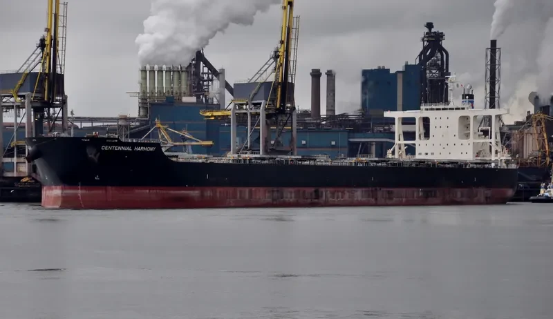 CENTENNIAL HARMONY Bulk Carrier IMO 9590838