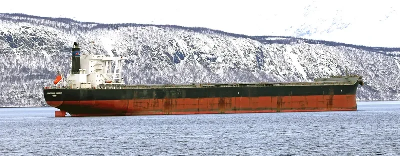CENTENNIAL HARMONY Bulk Carrier IMO 9590838 photo 9